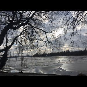 Meet your Posher, Sue